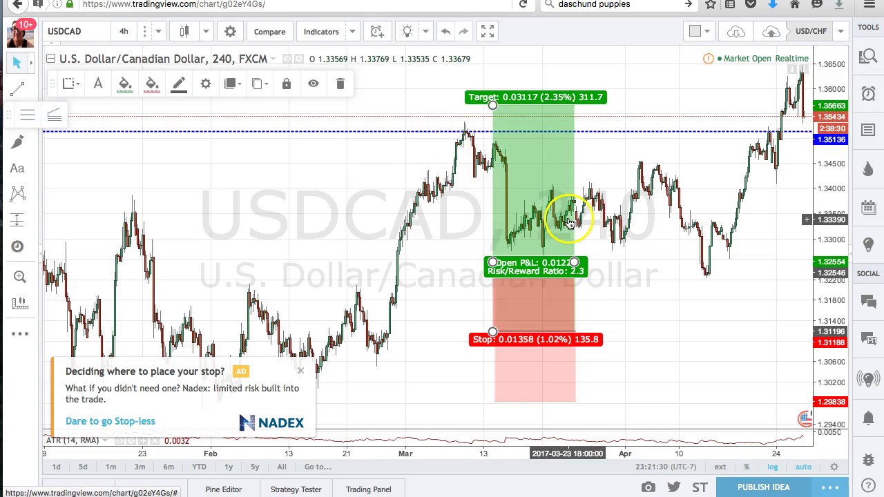 free forex ea software download